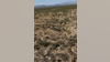 2 dead after small plane crashed near Pima County