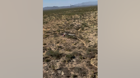 2 dead after small plane crashes southwest of Tucson