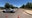 'Tragic and disturbing' shooting investigated in northern Arizona