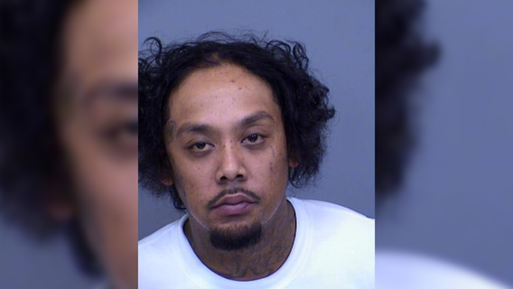 Phoenix man arrested, accused of 'ear cropping & tail docking' dogs while unlicensed