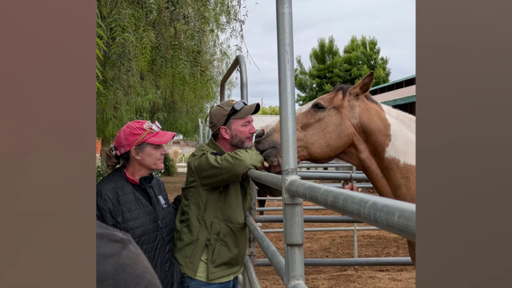 Hunkapi Programs takes in horses displaced by the LA wildfires