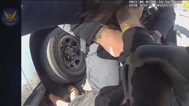 Police car hits suspect allegedly reaching for a gun after burglary