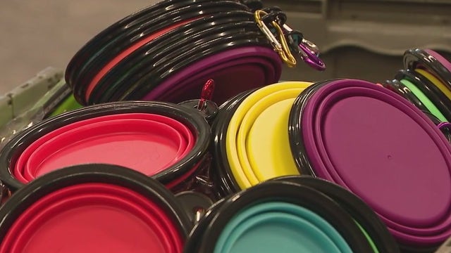 Unsheltered community, their pets at the focus of heat-relief efforts