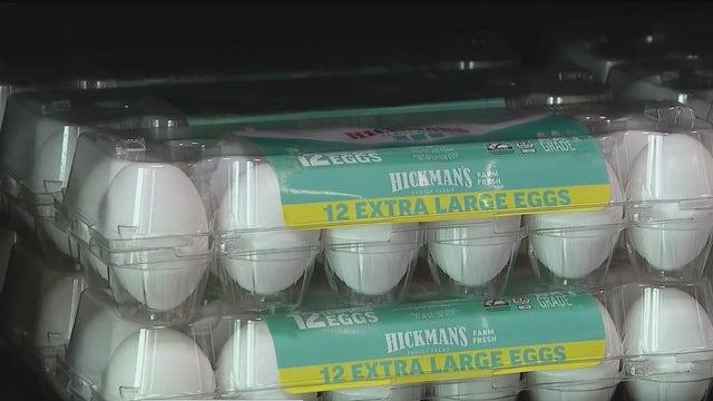 Hickman's Egg Ranch loses 95% of its chickens to bird flu: What's next