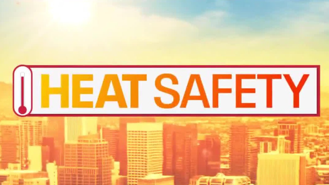 Seniors face summer safety concerns as Arizona temperatures soar