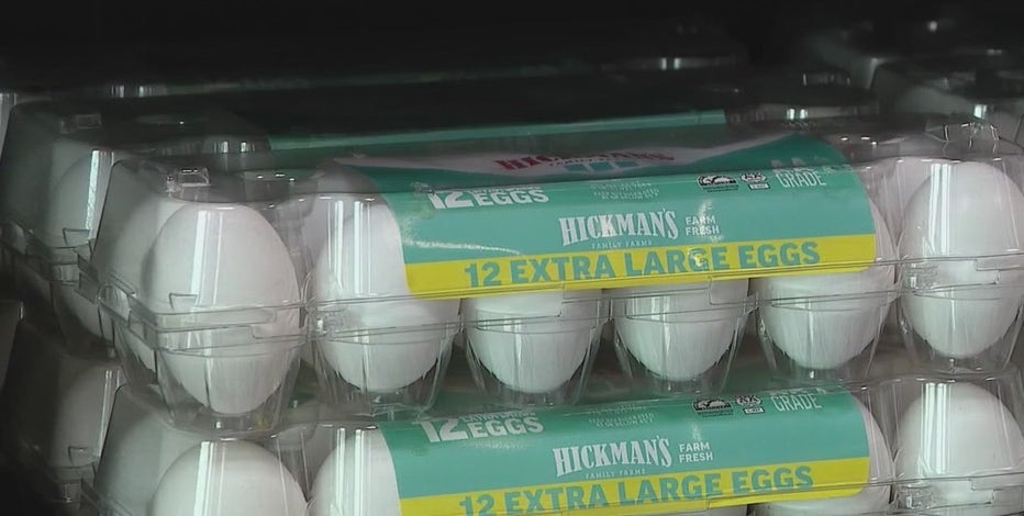 Hickman's Egg Ranch loses 95% of its chickens to bird flu: What's next