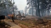 Wildfire destroys historic Grand Canyon lodge