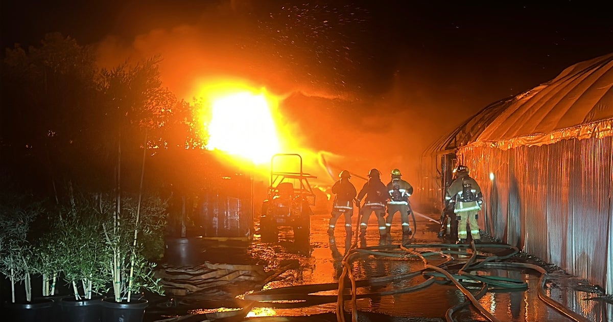 Fire breaks out at Phoenix plant nursery | FOX 10 Phoenix