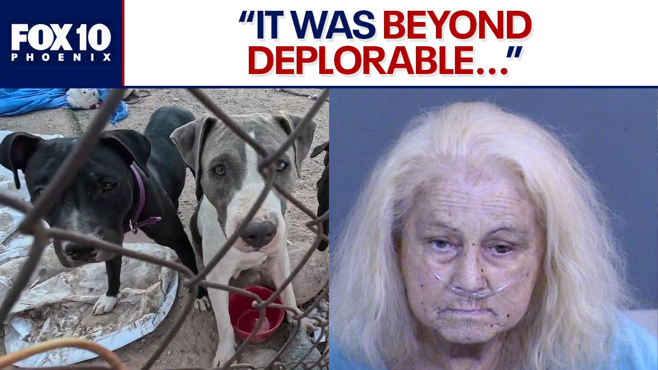 Arizona woman accused of neglecting 11 dogs