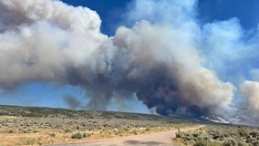 White Sage Fire: Northern Arizona wildfire prompts evacuations