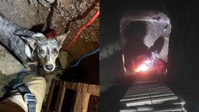 Mohave County dog rescued after falling a hundred feet down a mine shaft
