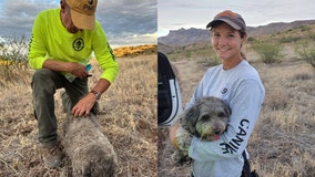 Arizona dog stays with its owner who died in a remote desert area