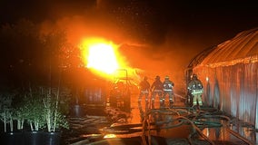 Fire breaks out at Phoenix plant nursery