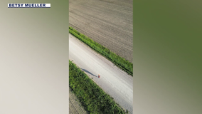 Arizona woman with MS runs across America, inspiring others