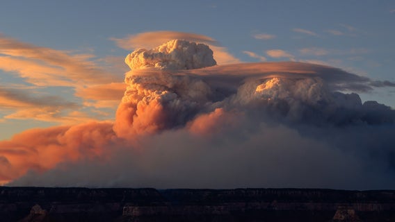 Dragon Bravo Fire is now 10th largest wildfire in Arizona's history