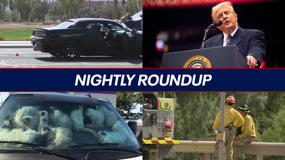 Disturbing animal cruelty case in California; road rage shooting in the East Valley | Nightly Roundup