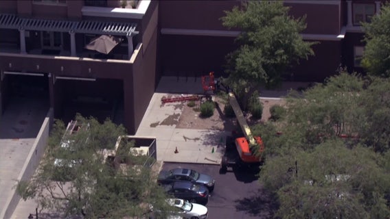 Scottsdale PD identifies man who was killed in a bee attack
