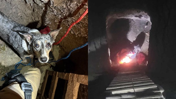 Mohave County dog rescued after falling a hundred feet down a mine shaft