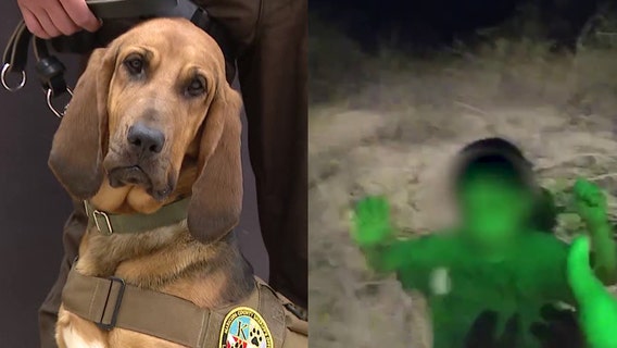 K-9 Piper rescues lost little boy using his scent in Maricopa County