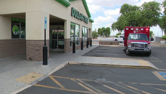 4 people attacked by bees in Tempe, FD says