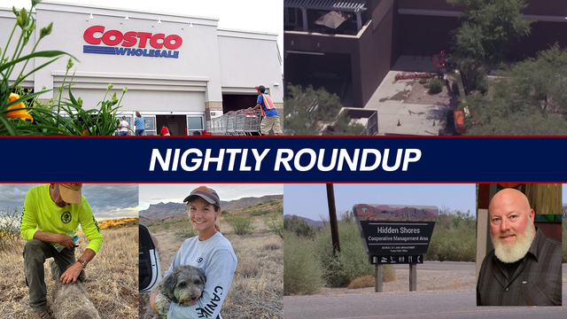 New details on Yuma man's drowning; deadly bee attack in Scottsdale | Nightly Roundup