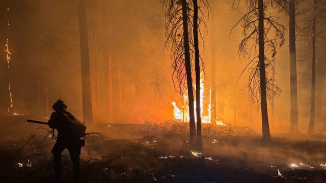 Dragon Bravo Fire: Arizona lawmakers demand investigation