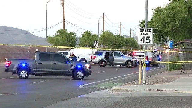 Woman and her dog killed by hit-and-run drivers; Phoenix PD believe 2 vehicles were involved