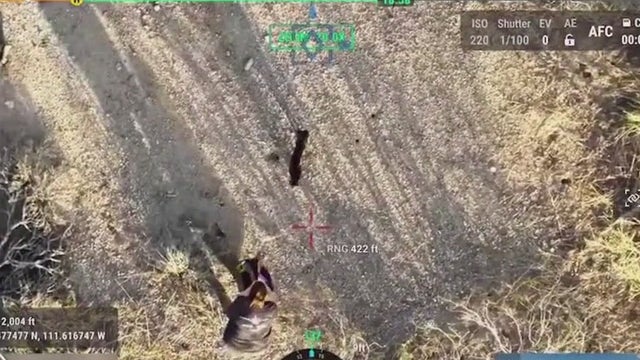 Teen's pet recovery business braces for 4th of July runaways