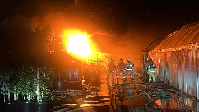 Fire breaks out at Phoenix plant nursery