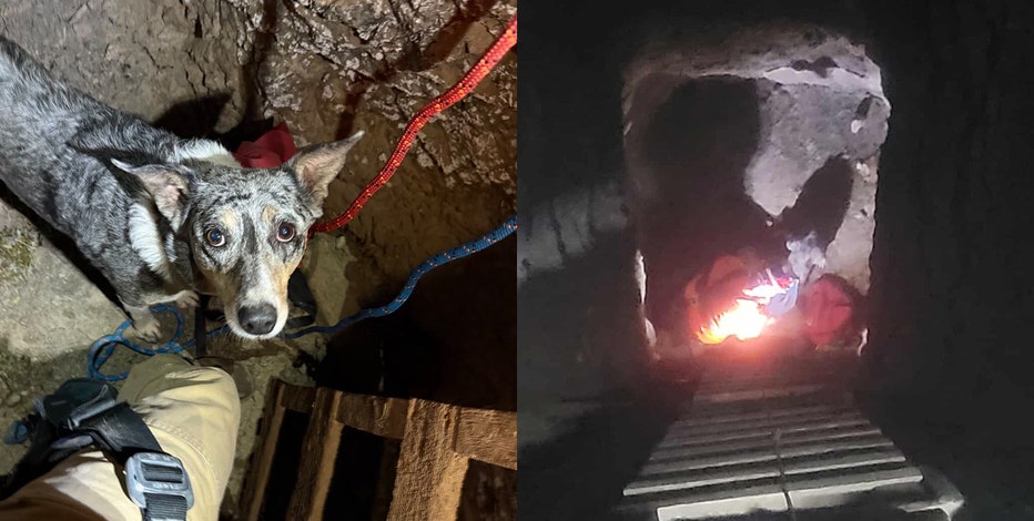 Mohave County dog rescued after falling a hundred feet down a mine shaft