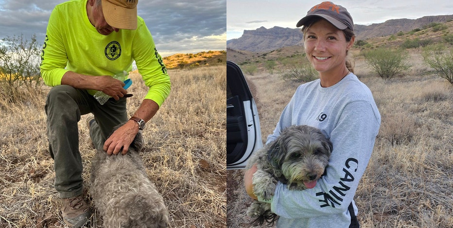 Arizona dog stays with its owner who died in a remote desert area