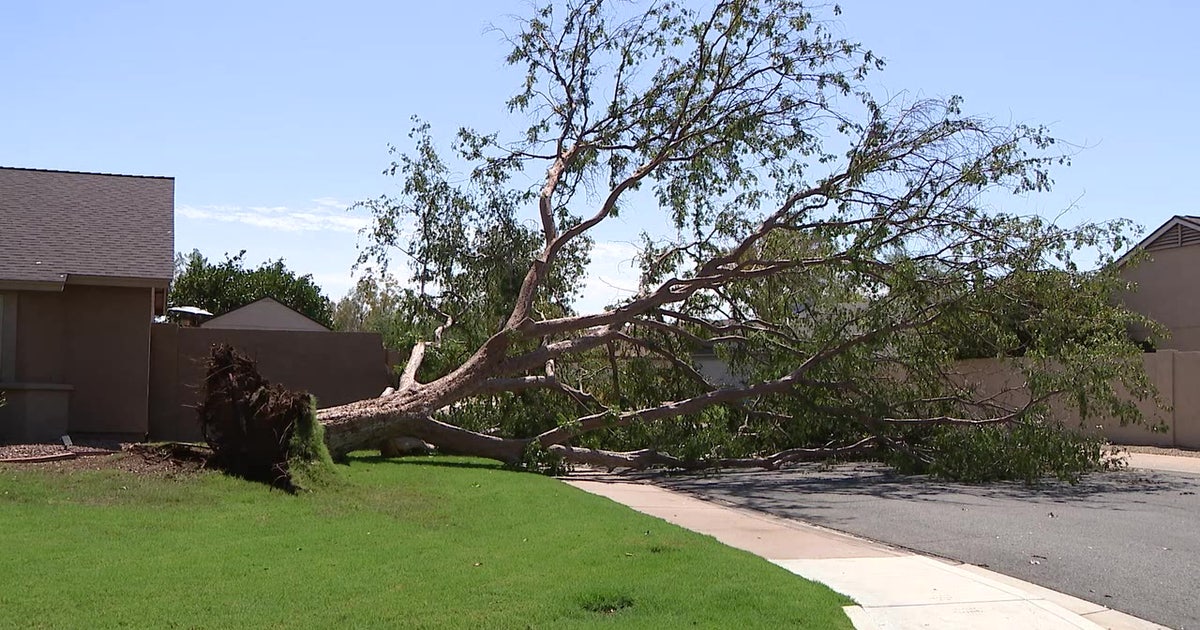 Monsoon: Overnight storm left some damage in parts of the Phoenix area ...