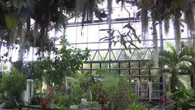 Planting for pollinators: Local classes focus on fall gardening in Arizona