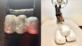 Nearly 30 pounds of meth found during northern Arizona traffic stop: CCSO