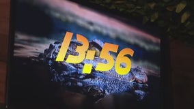 Beat the summer heat with Puzzle Effect's escape rooms