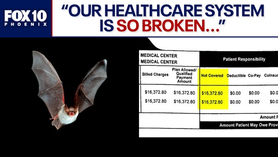 Woman visiting Arizona hit with steep medical bill after bat flew into her mouth