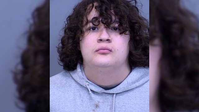 Man arrested for throwing sex toy at Phoenix Mercury crowd, court docs say