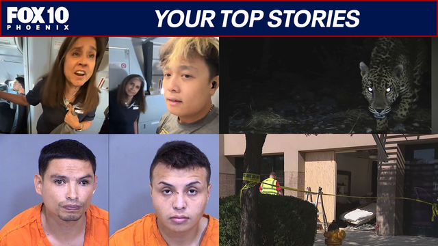 Jaguar spotted in Arizona; South American Theft Group members arrested | Nightly Roundup