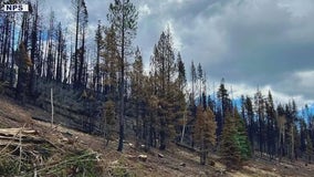 Firefighter dies while battling Dragon Bravo Fire