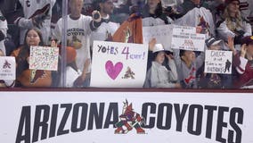 Arizona hockey hopes revived with new committee and Doan family at the helm