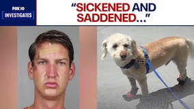 'Gut punched': Woman whose dog was allegedly slammed to the ground by Scottsdale murder suspect speaks out