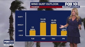 Arizona weather forecast: 'Quieter' conditions expected after active monsoon pattern