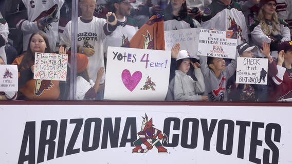 Arizona hockey hopes revived with new committee and Doan family at the helm