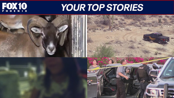 Seized exotic animals to return to owner; man shot after pointing gun at deputies | Nightly Roundup
