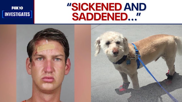 'Gut punched': Woman whose dog was allegedly slammed to the ground by Scottsdale murder suspect speaks out