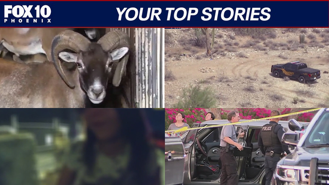 Seized exotic animals to return to owner; man shot after pointing gun at deputies | Nightly Roundup