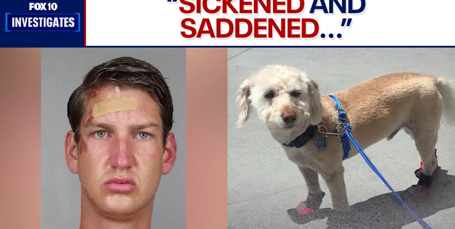'Gut punched': Woman whose dog was allegedly slammed to the ground by Scottsdale murder suspect speaks out