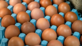 AZDES: No November food benefits due to government shutdown