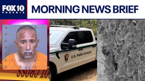 Suspect allegedly admitted to Phoenix shooting; teen dies after fall at national park l Morning News Brief