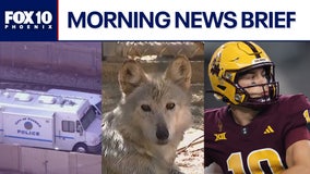 Deadly west Phoenix shooting; suspects accused of trafficking guns to Mexican cartels l Morning News Brief